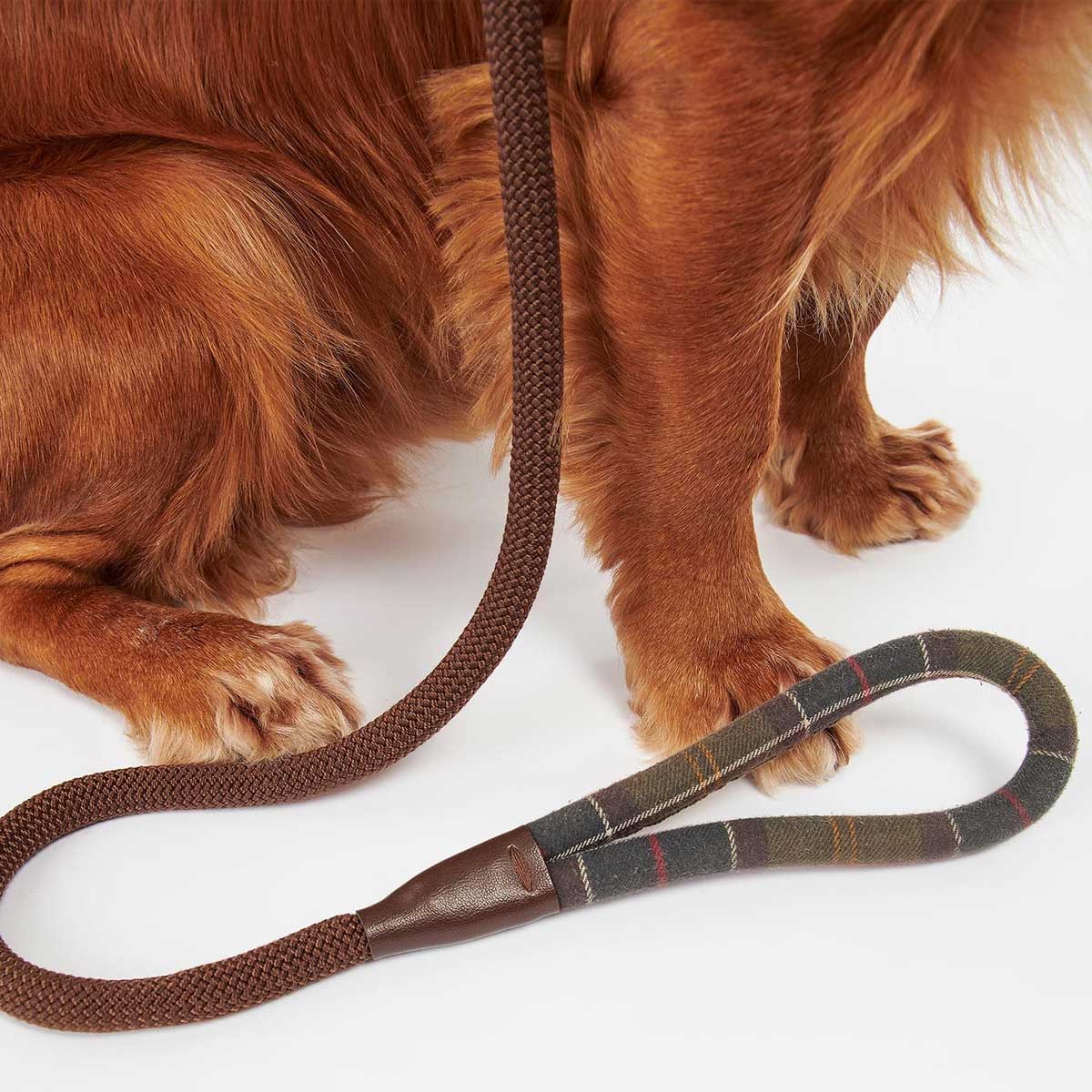 BARBOUR Dog Slip Lead - Classic Tartan