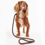 BARBOUR Dog Slip Lead - Classic Tartan