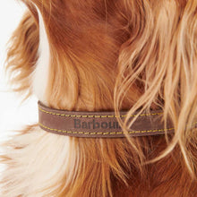 Load image into Gallery viewer, BARBOUR Leather Dog Collar - Brown
