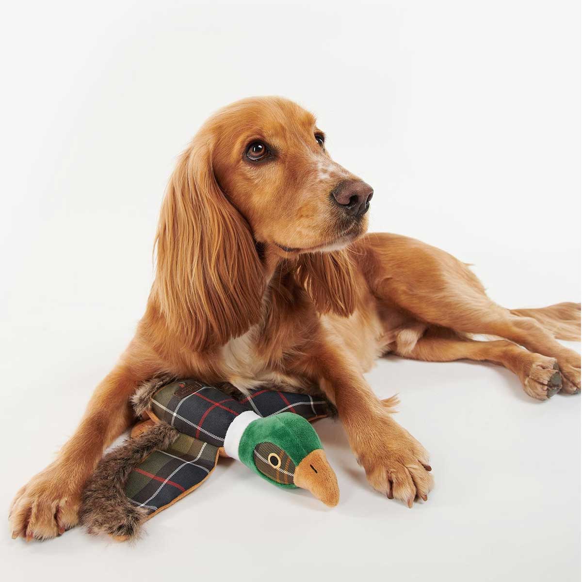 BARBOUR Pheasant Dog Toy