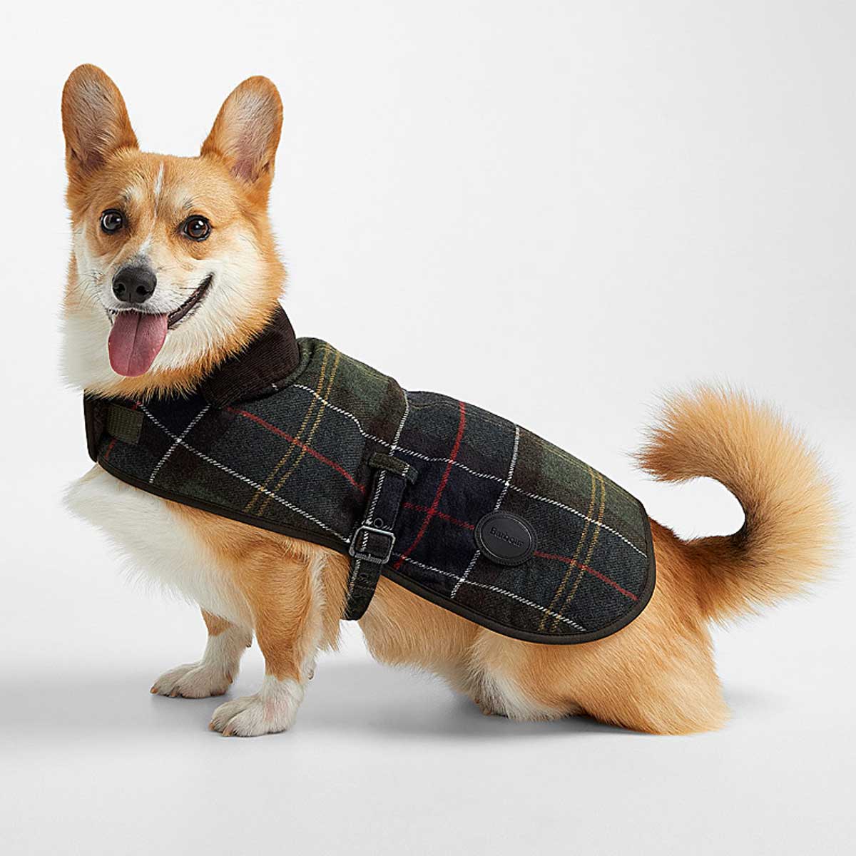 BARBOUR Wool Touch Dog Coat - Classic Tartan
