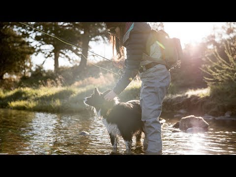 RUFFWEAR Web Master Dog Harness with Handle - Slate Blue