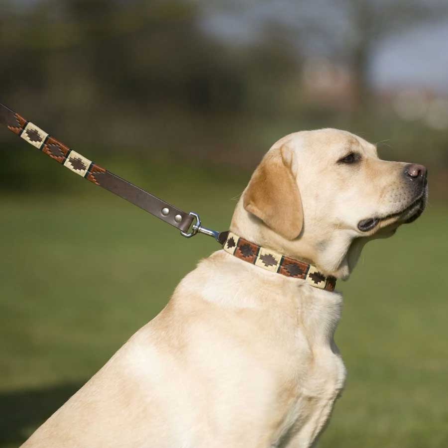 PIONEROS Polo Dog Collar - 732 Copper/Beige/Green Stripe