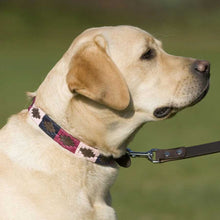 Load image into Gallery viewer, PIONEROS Polo Dog Collar - 755 Berry/Navy/Pink
