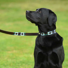 Load image into Gallery viewer, PIONEROS Polo Dog Collar - 756 Green/Pale Blue/Navy/Cream Stripe

