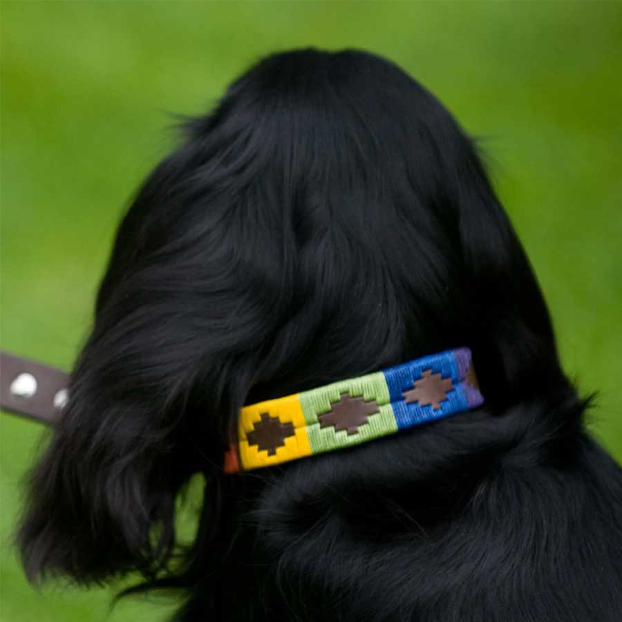 PIONEROS Polo Dog Collar - 767 Rainbow