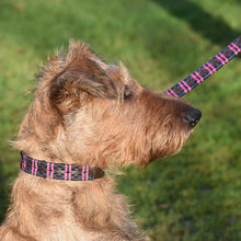 Load image into Gallery viewer, PIONEROS Polo Dog Collar - Double Stripe - 731 Navy/berry
