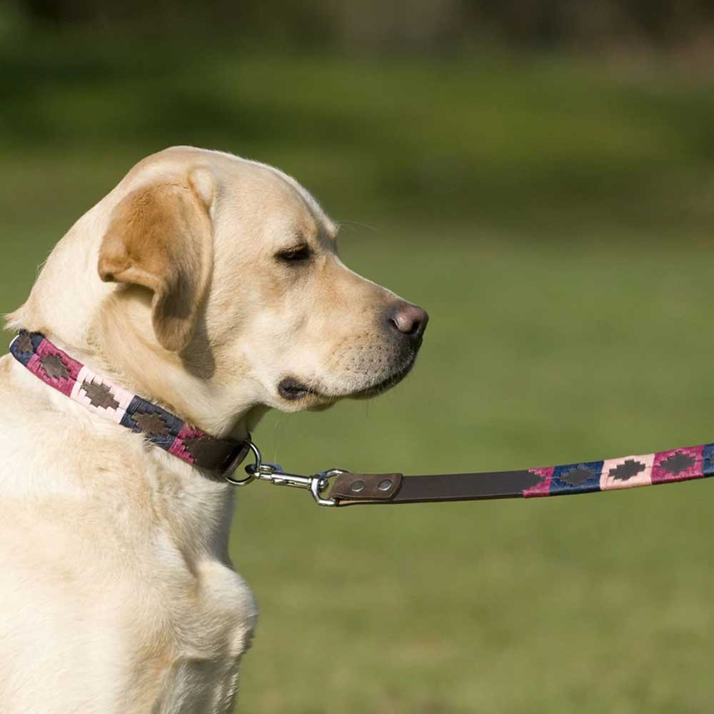 PIONEROS Polo Dog Lead - 855 Berry/Navy/Pink