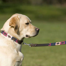 Load image into Gallery viewer, PIONEROS Polo Dog Lead - 855 Berry/Navy/Pink
