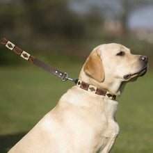 Load image into Gallery viewer, PIONEROS Polo Dog Lead - 832 Copper/Beige/Green Stripe

