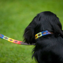 Load image into Gallery viewer, PIONEROS Polo Dog Lead - 867 Rainbow
