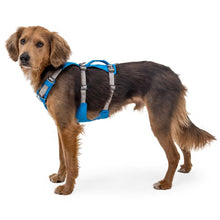 Load image into Gallery viewer, RUFFWEAR Flagline Dog Harness with Handle - Blue Dusk
