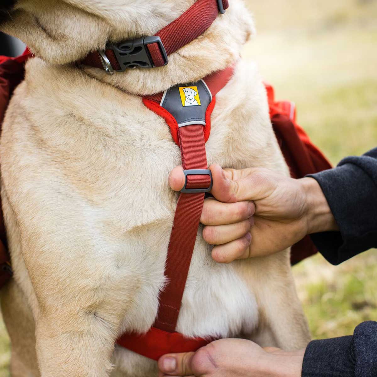 RUFFWEAR Front Range Dog Collar - Red Sumac