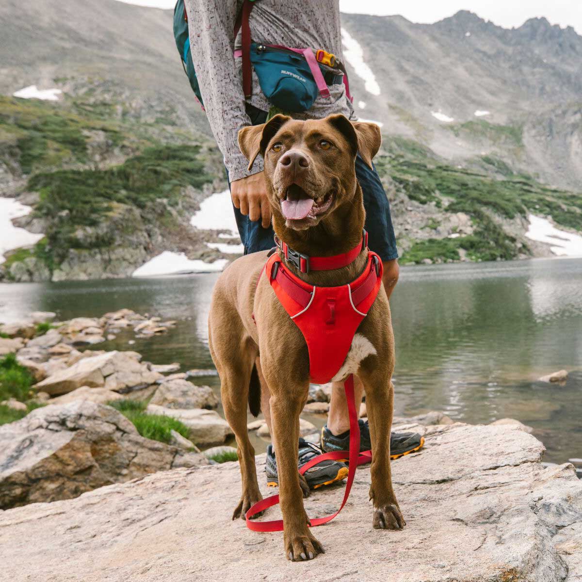 RUFFWEAR Front Range Dog Harness Red Sumac A Farley