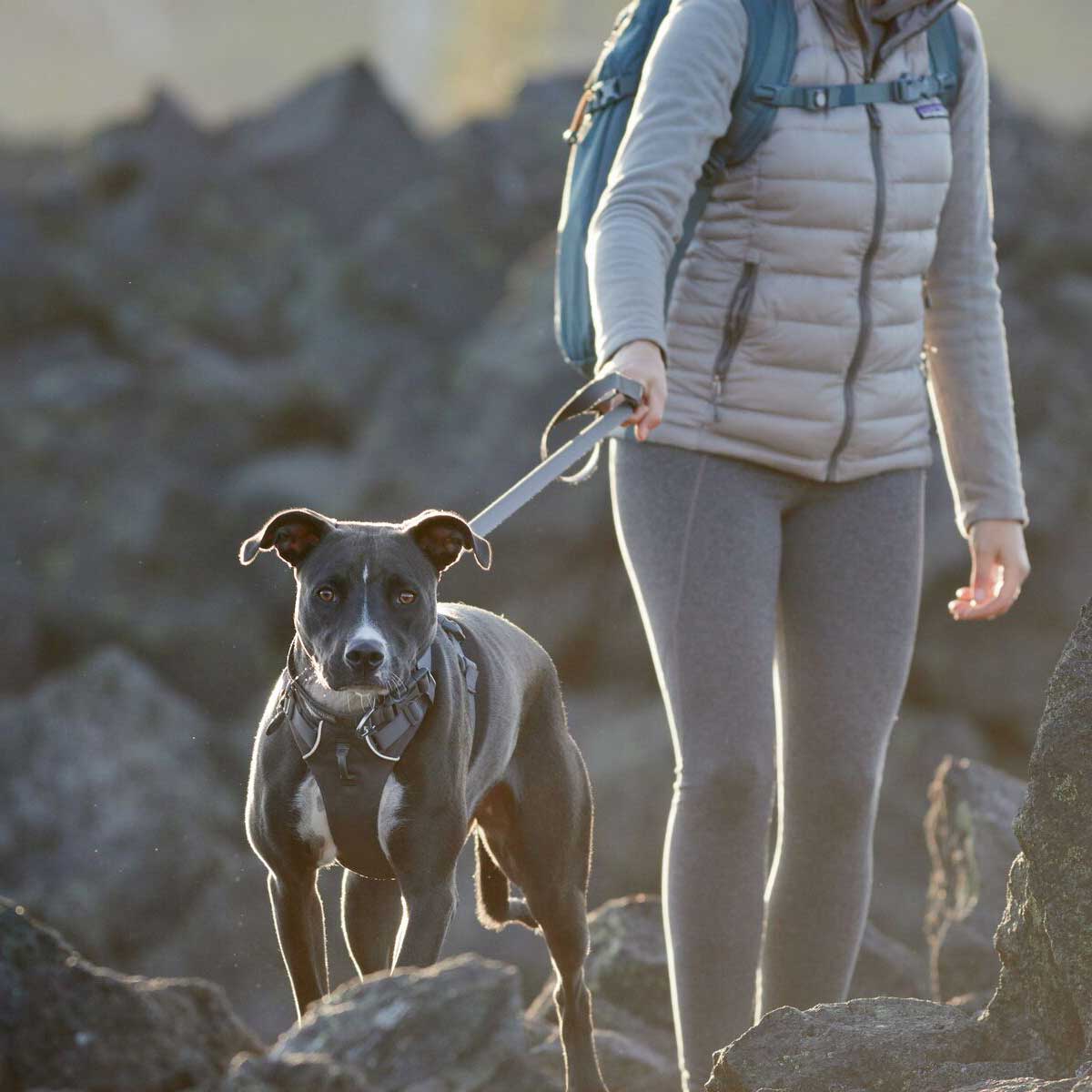 RUFFWEAR Front Range Dog Harness - Twilight Grey