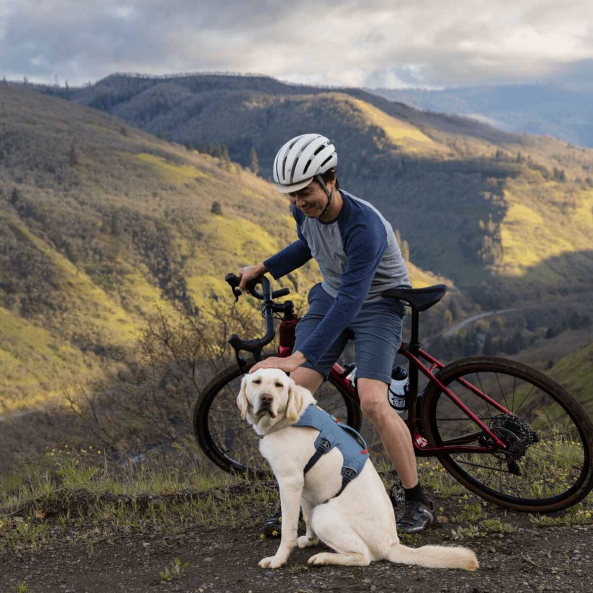 RUFFWEAR Web Master Dog Harness with Handle - Slate Blue