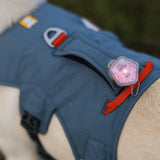 RUFFWEAR Web Master Dog Harness with Handle - Slate Blue