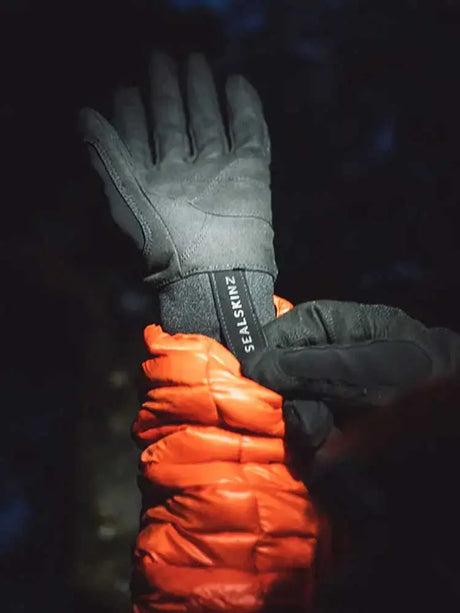 SEALSKINZ Gloves - Waterproof All Weather - Black
